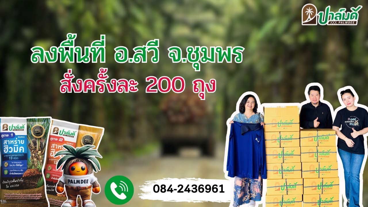 /🌴ลงพื้นที่ อ.สวี จ.ชุมพร หลังใช้ 3 รอบ #เกษตรกร #ปุ๋ยปาล์ม #สวนปาล์ม #ปาล์มดี #หมวยปาล์มดี