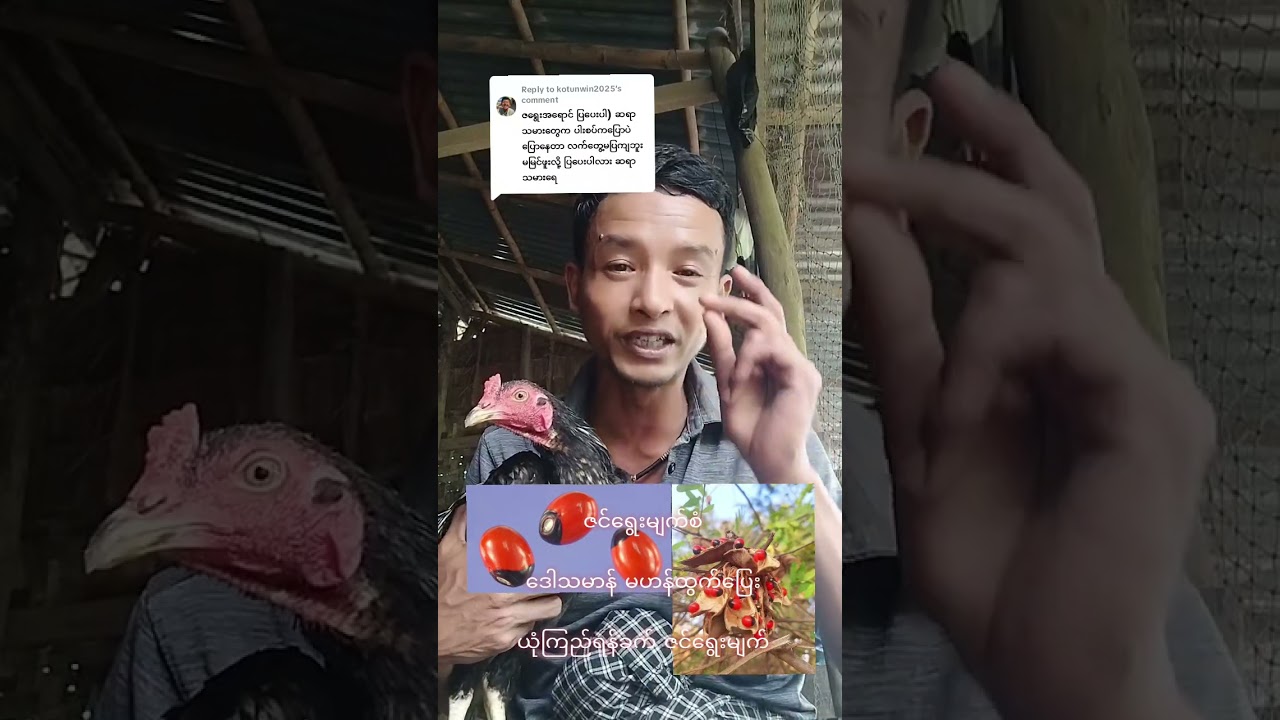 ဇင်ရွေးမျက်လုံး ရဲသော်ဘက်မရှိပြေးရင်ဖမ်းမမိ