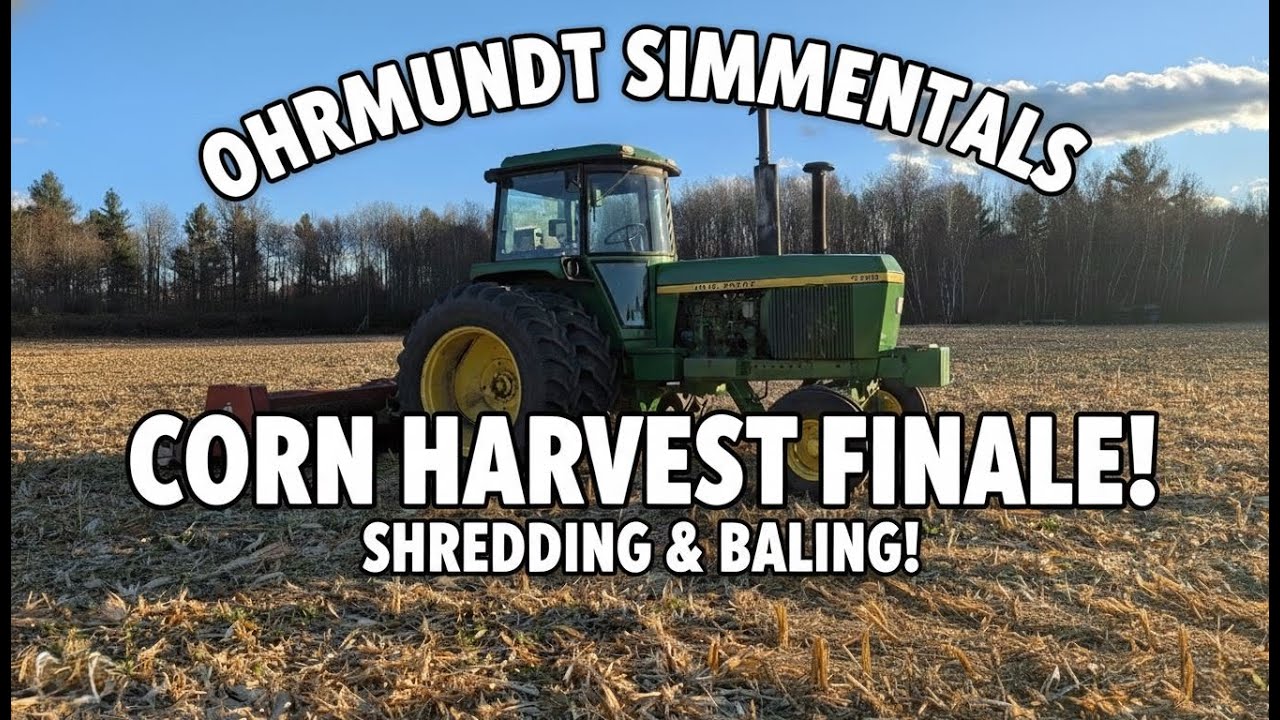 Harvest FINALE! Picking, Shredding, and Baling corn stalks!
