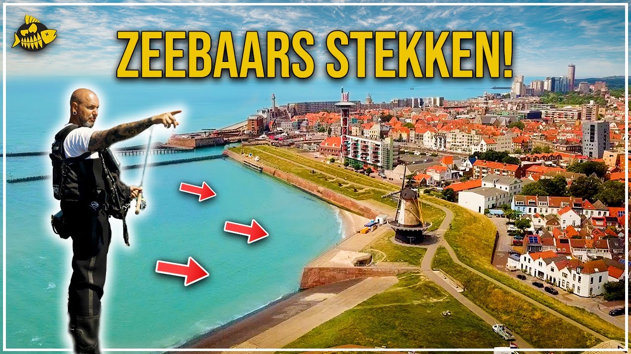 ZEEBAARS IN ZEELAND - Tips, Tricks en Stekken!