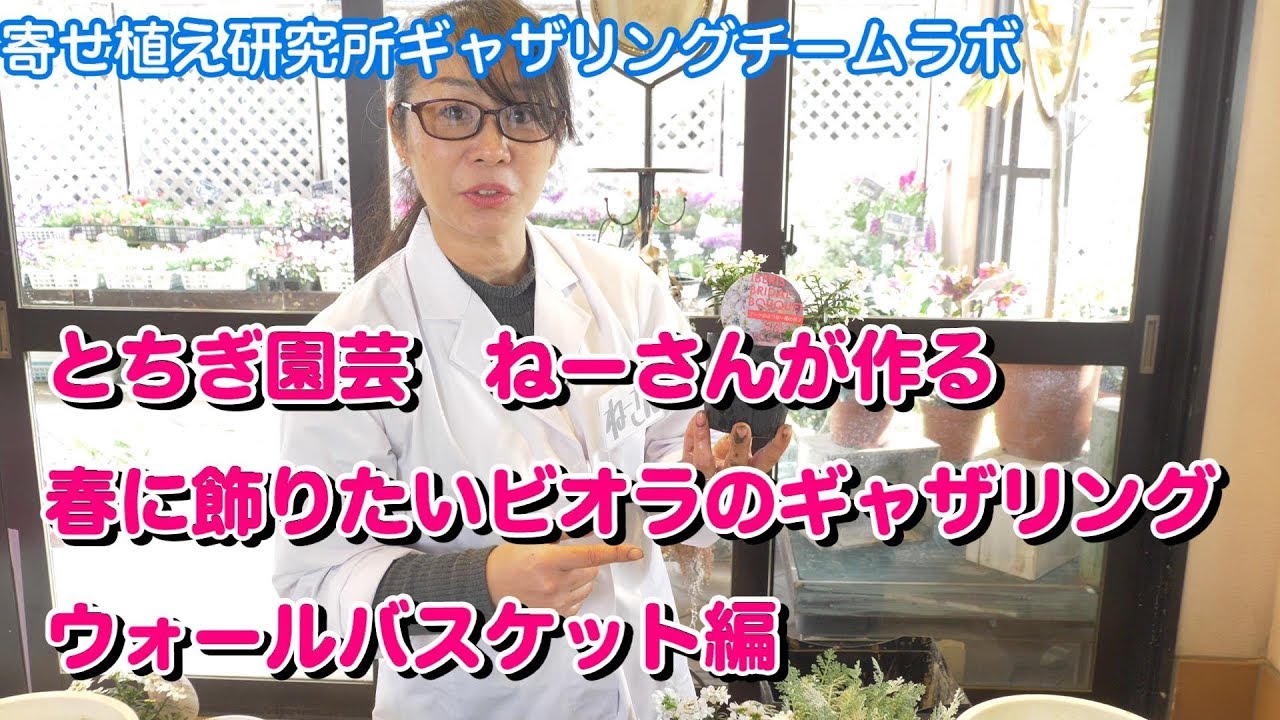 春に飾りたい壁掛けタイプの新しい寄せ植えギャザリング：ビオラのウォールバスケット by寄せ植え研究所ギャザリングチームラボ