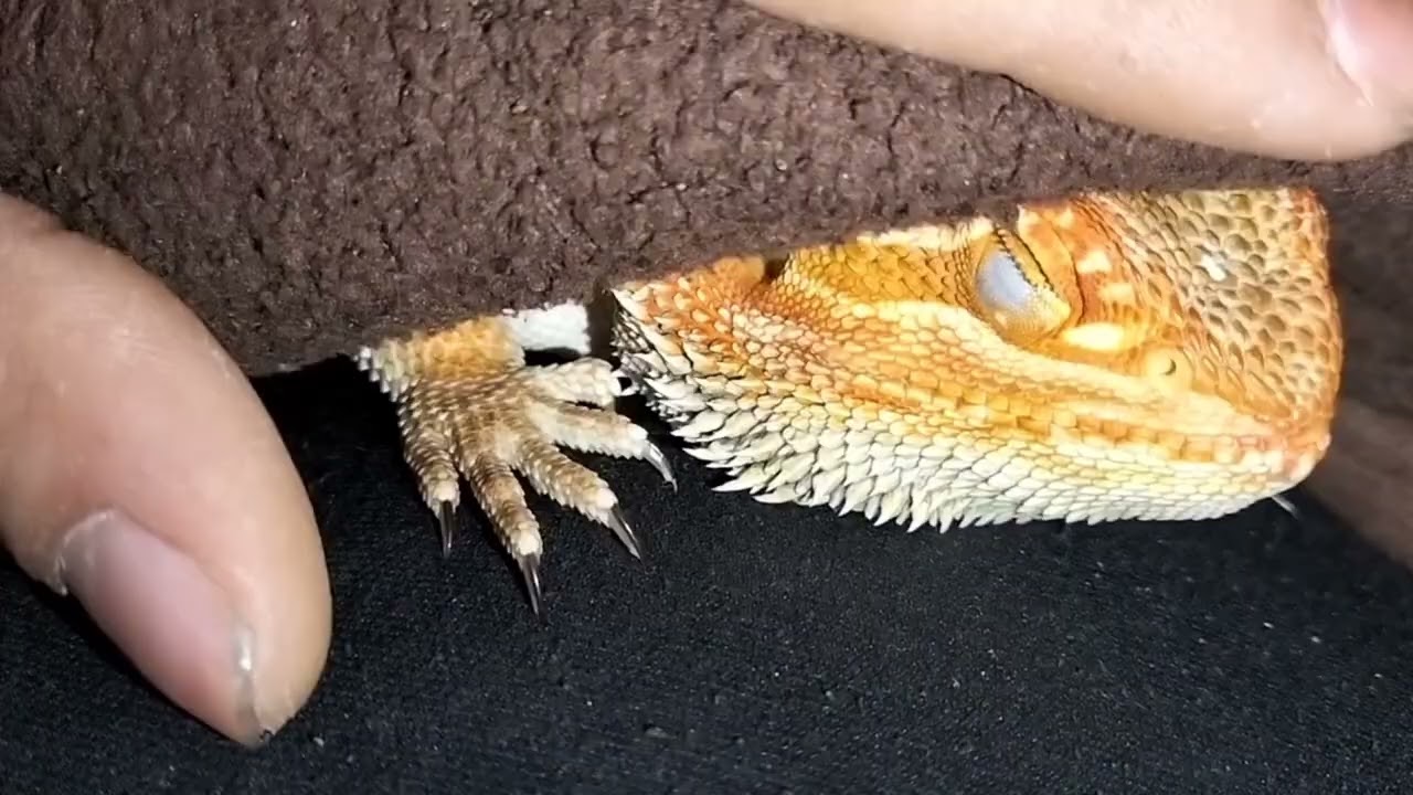 This is how we sleep together