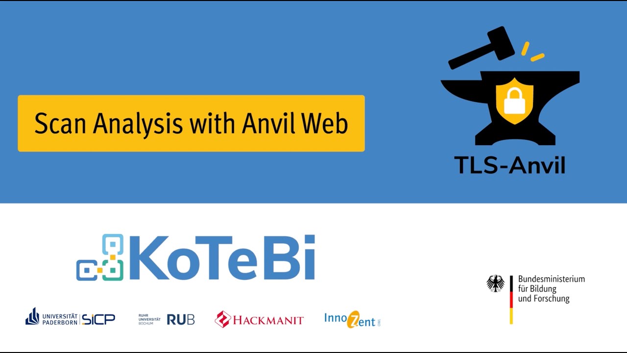 Report Analysis with Anvil Web  |  TLS-Anvil  |  KoTeBi Project – BSI