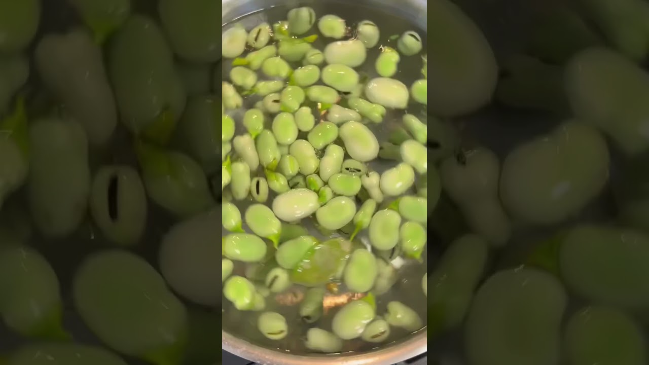 fava beans!