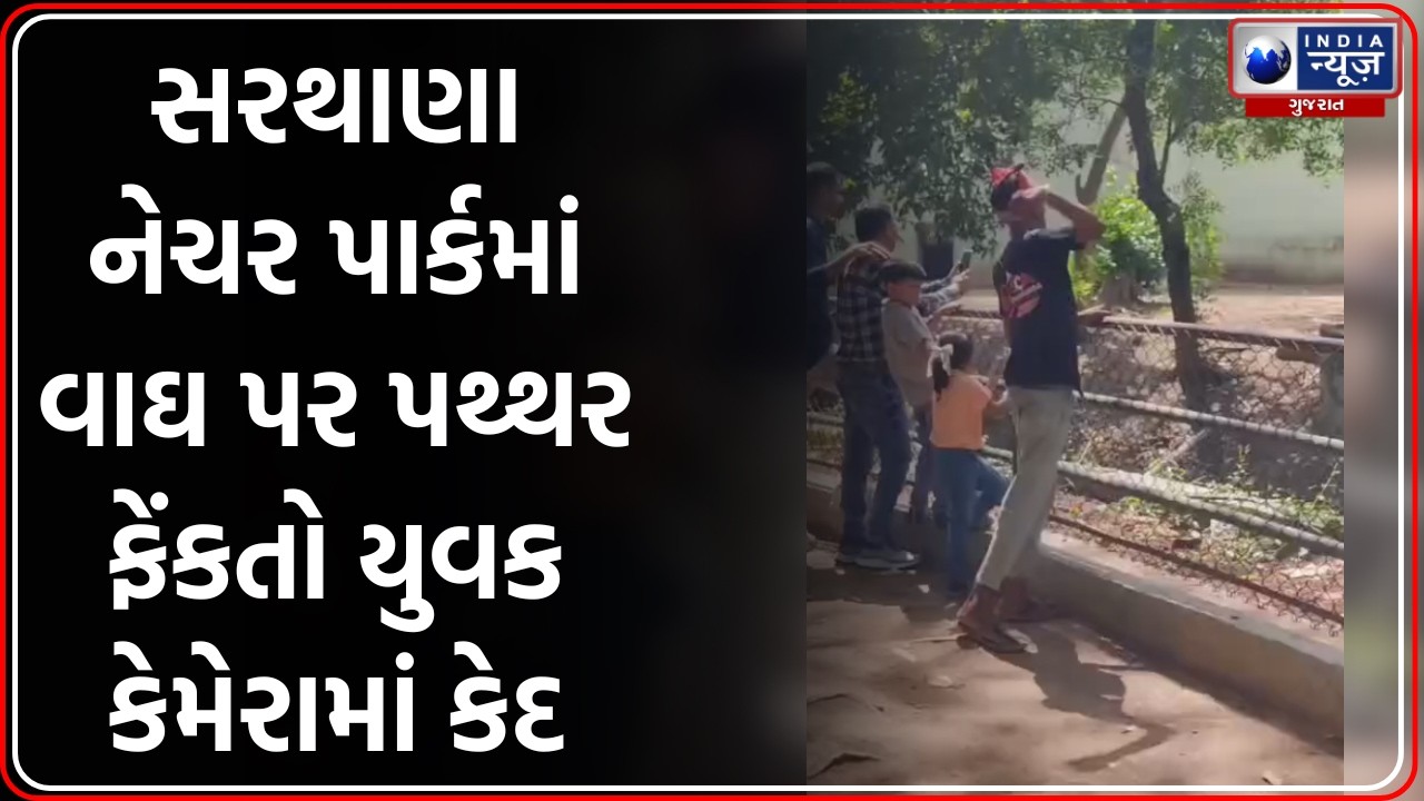 Surat Zoo: Youth caught on video throwing stones at tiger, SMC and police launch investigation