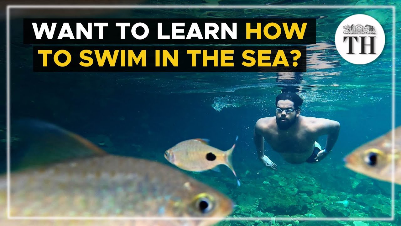 Want to try open water swimming? Here's what you need to know | The Hindu