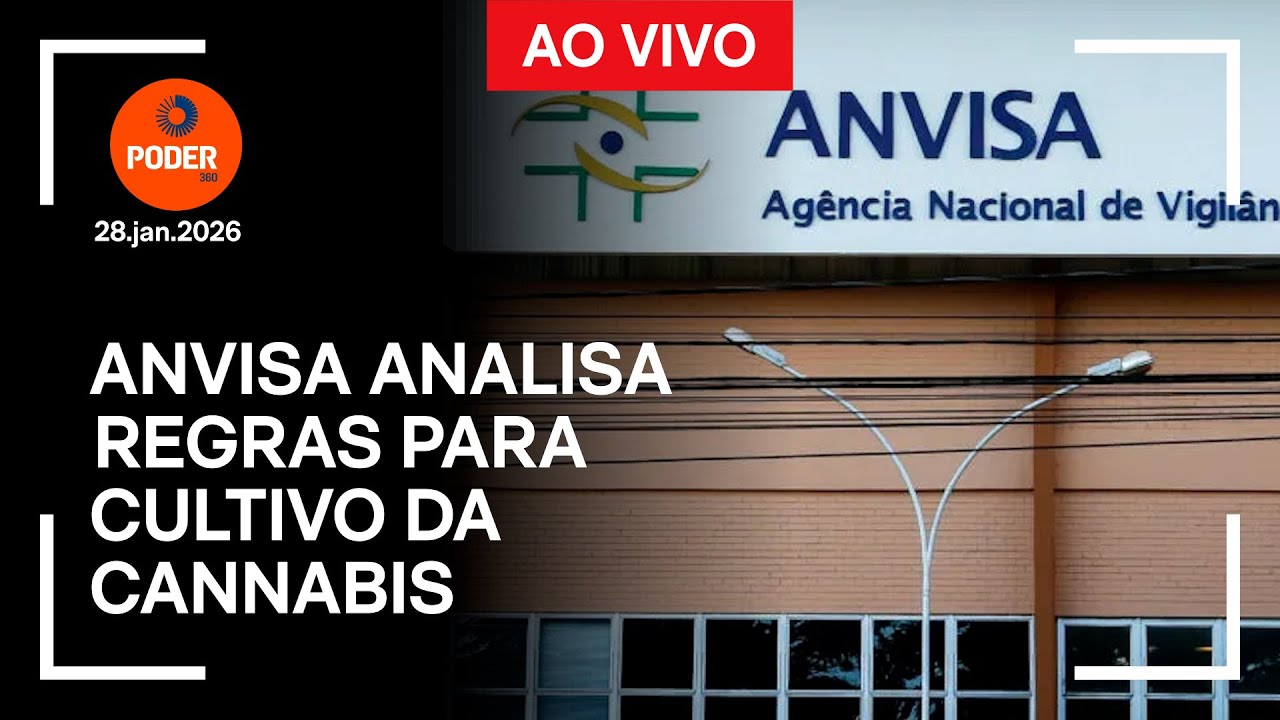 Ao vivo: Anvisa analisa regras para cultivo da cannabis