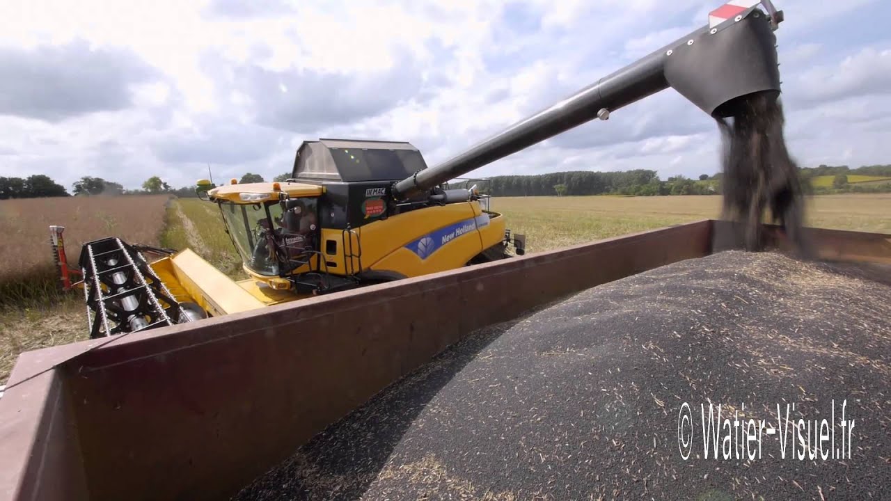 Moissonneuse New Holland CR 9080 récoltant un Colza Hybride