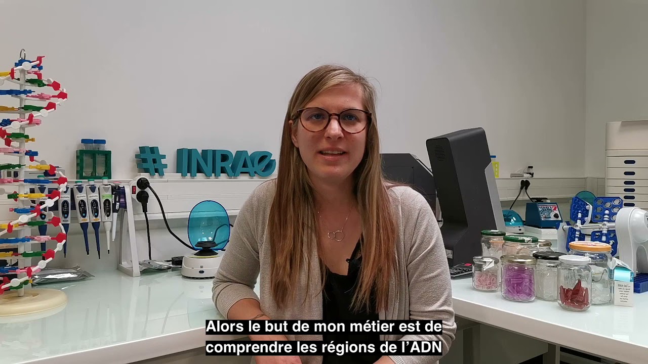 1 2 3’ INRAE – Nathalie Rodde, Ingénieure en génomique végétale