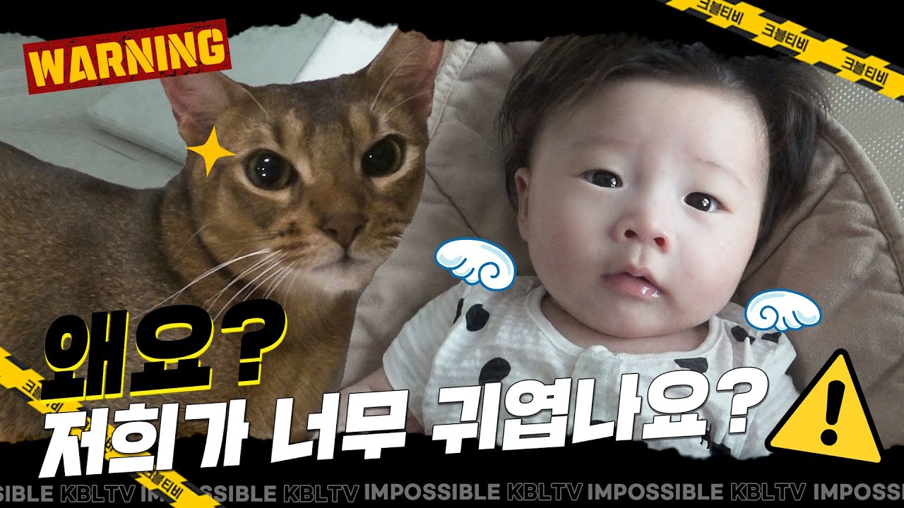 왜요? 저희가 너무 귀엽나요? 👼✨ (깜짝 이벤트있음!🎁) | 이대성 X 최준용 미션 셀파서블 ②