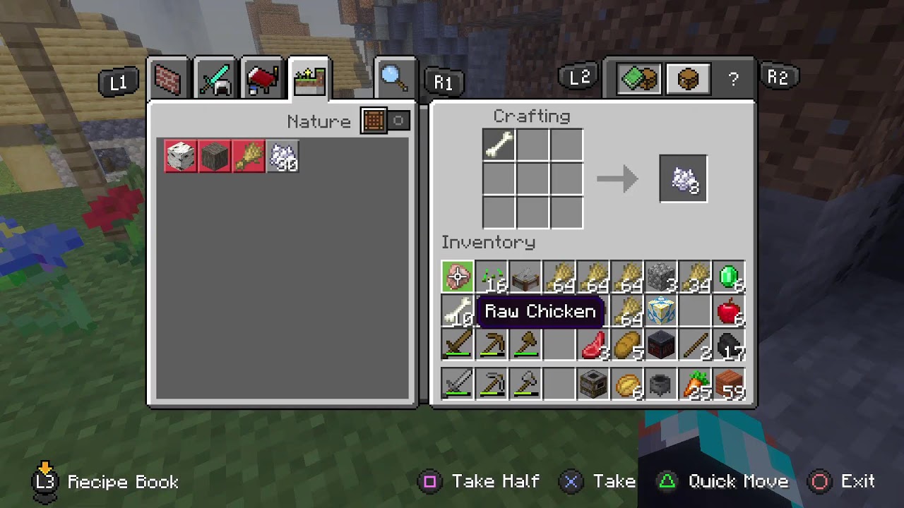 Minecraft Hardcore Archane SMP