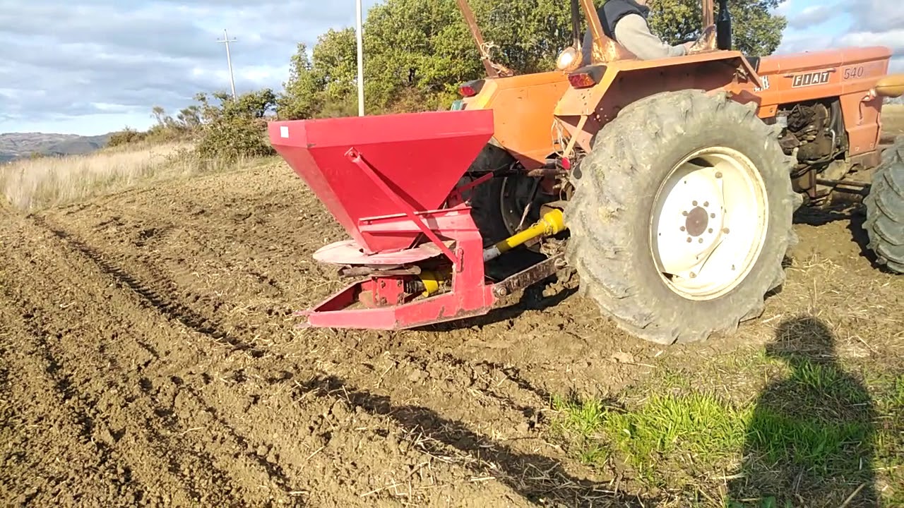 Semina Grano 2020