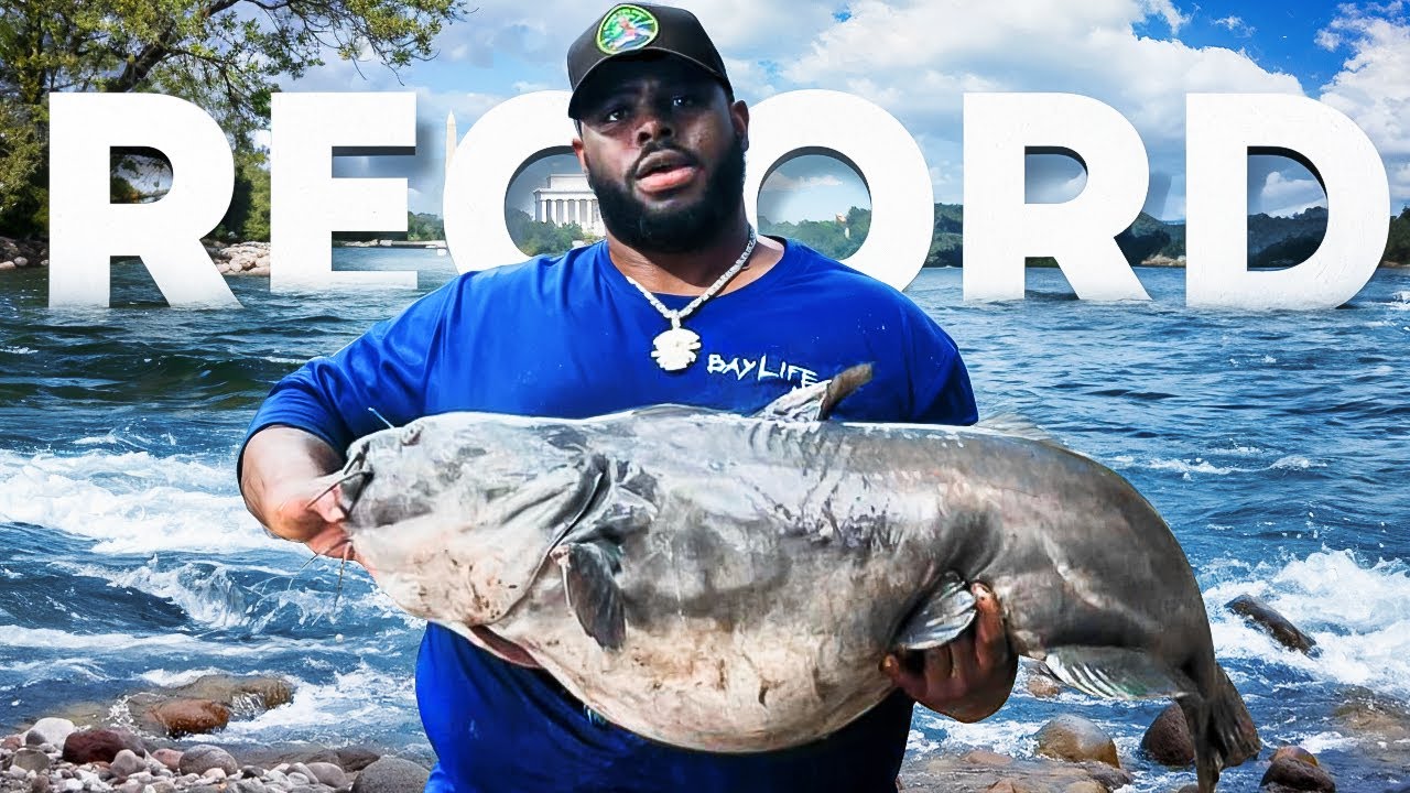 How To Catch A Big Catfish From The Bank (New PB)