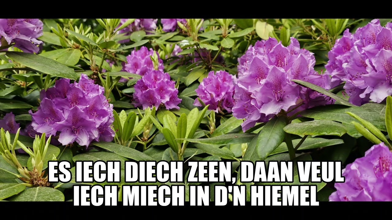 166 De nacht is nog zo lang