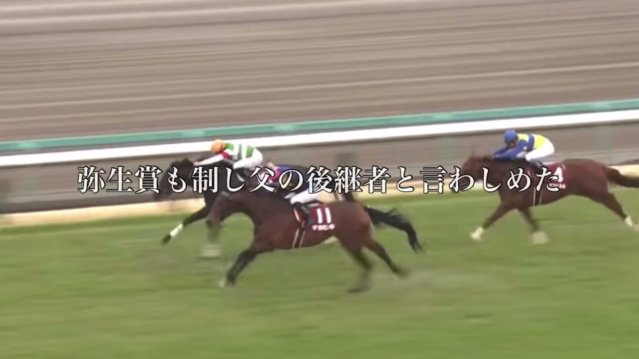 マカヒキ　JRA CM風MAD