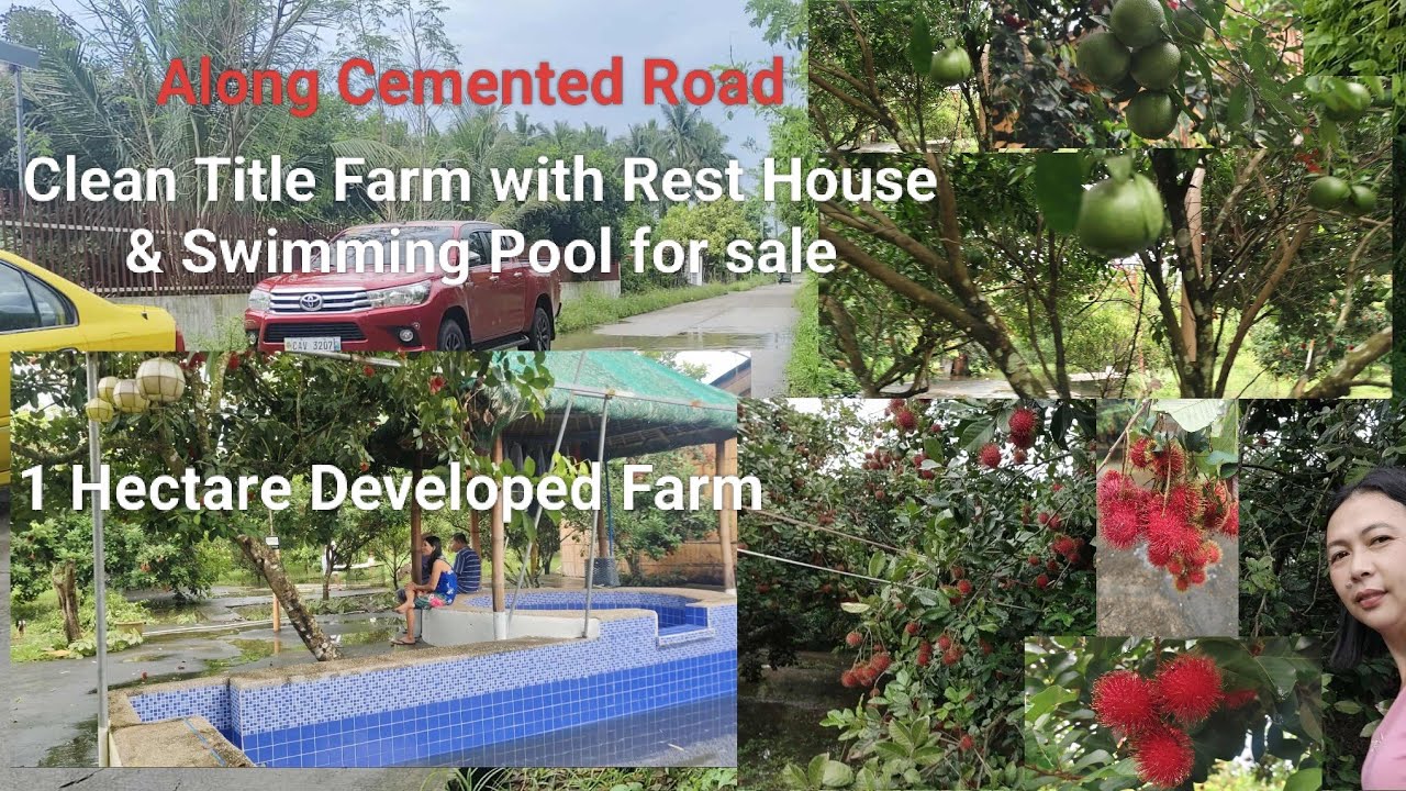 #Vlog374 CLEAN TITLE 1 HECTARE FARM LOT with REST HOUSE & SWIMMING POOL FOR SALE | FULLY DEVELOPED