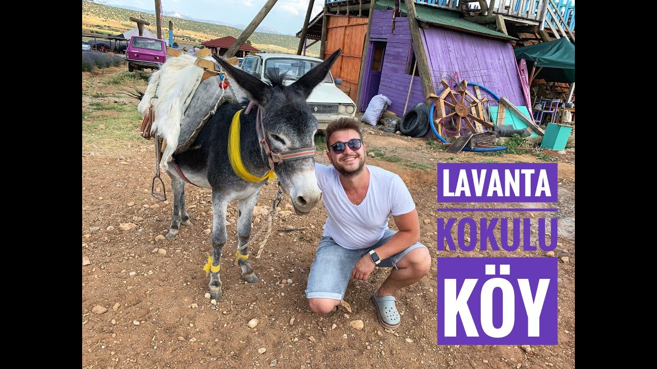 Hasan Aydın ;LAVANTA KOKULU KÖY / KUYUCAK