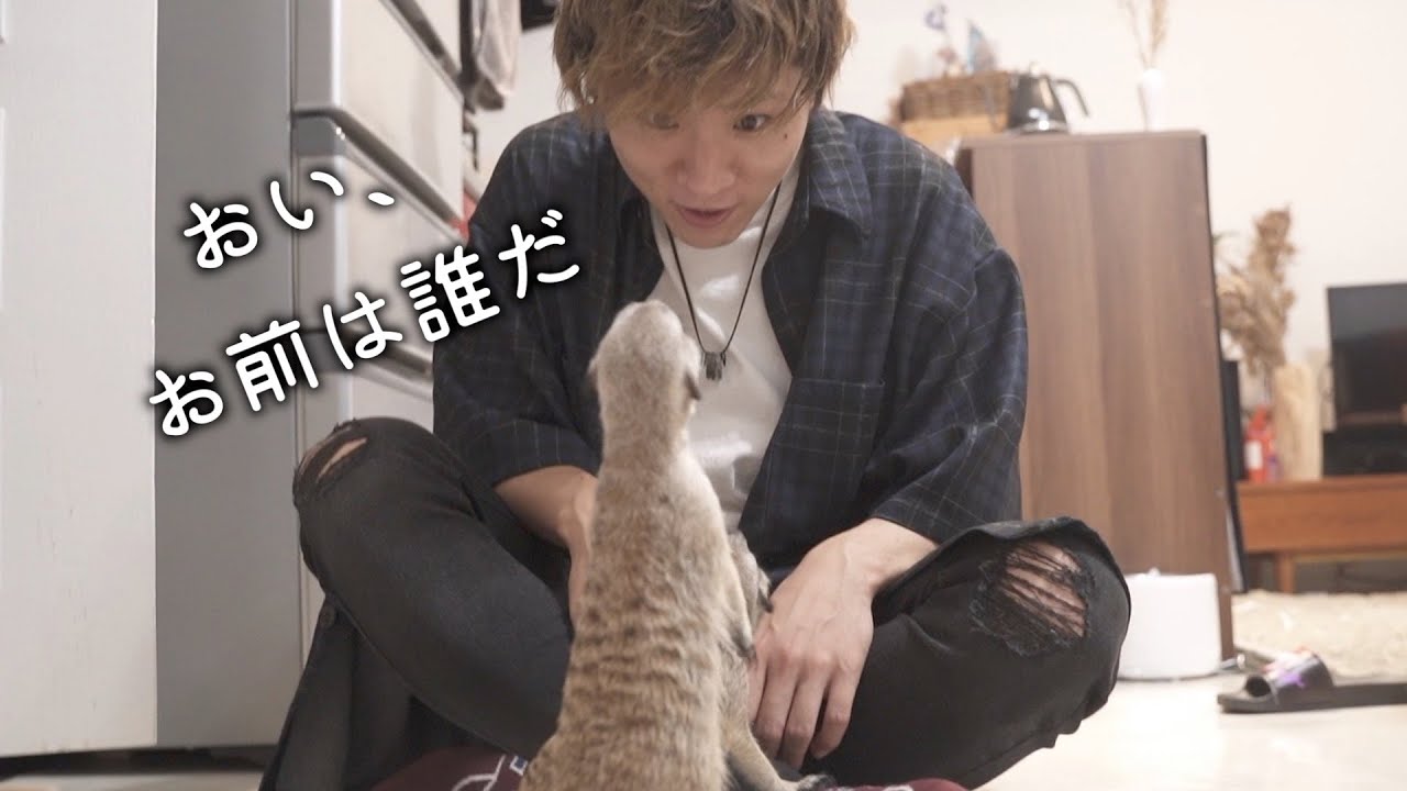 また1人、虜にするだけの動画