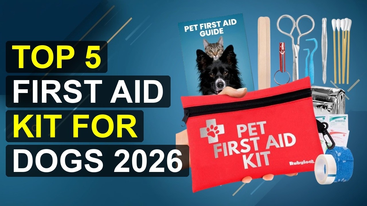 Top 5 First Aid Kit For Dogs 2026 | 2026 Ultimate Dog First Aid Kit