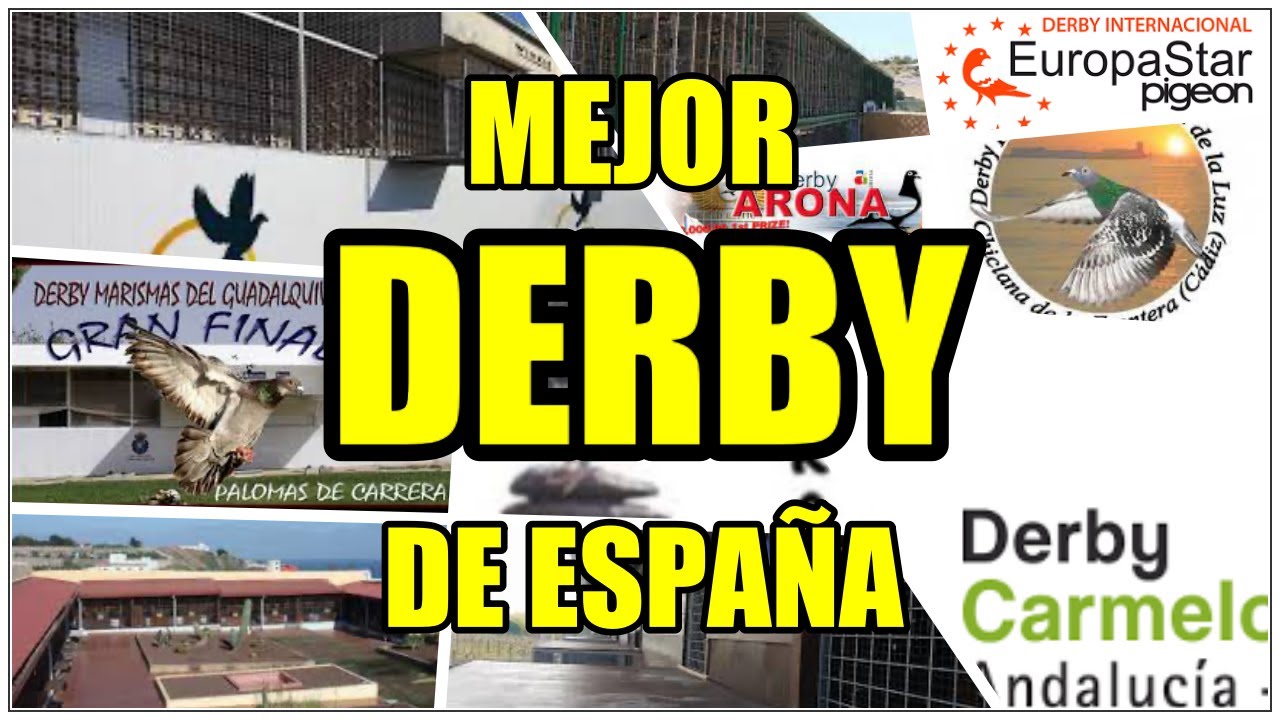 COLOMBOFILIA.🇪🇸 Elegimos al mejor DERBY de ESPA&Ntilde;A🇪🇸
