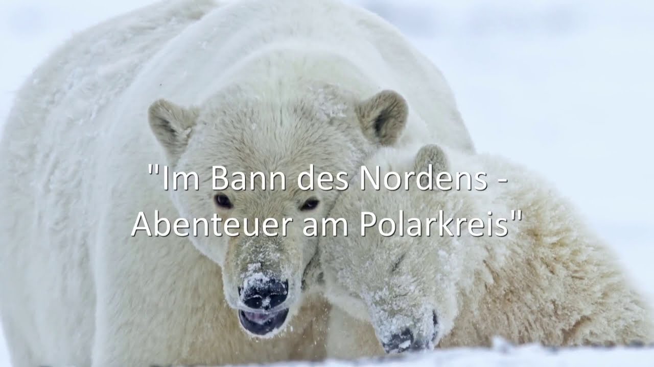 BERND RÖMMELT - Video zum LIVE Vortrag: 