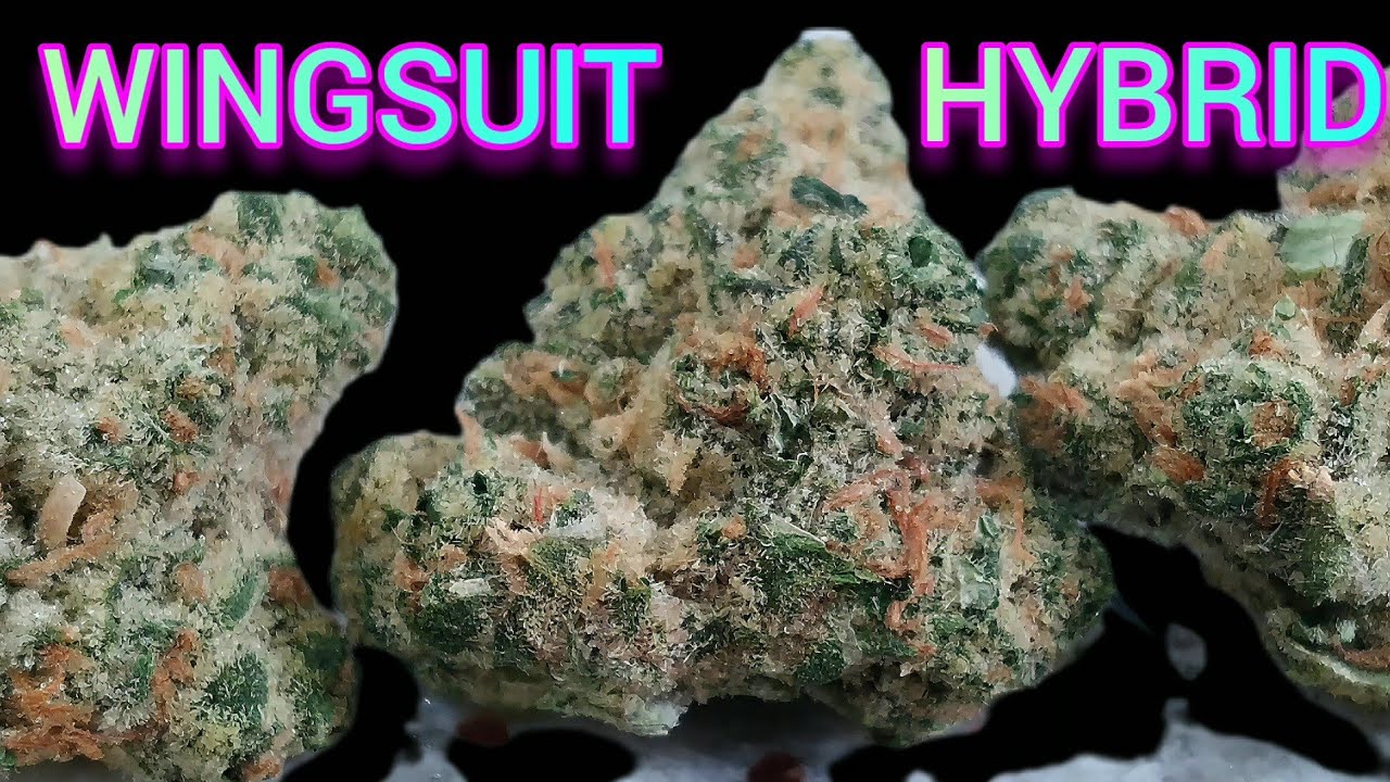 Wingsuit - Illinois Cannabis Review 
