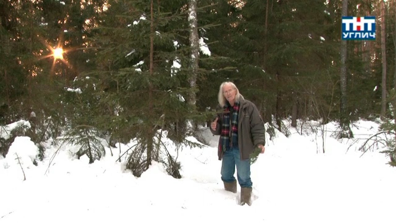 Наедине с природой. Ёлочка новогодняя | 2013
