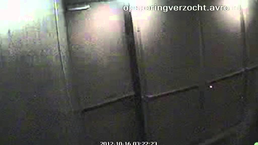Rotterdam: Kunstroof