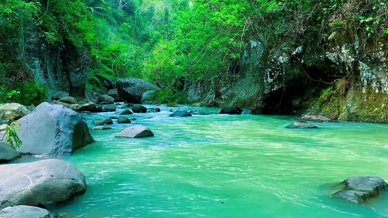 Mindful River Flow – 10 Hours of ASMR Water for Calm & Anxiety Release