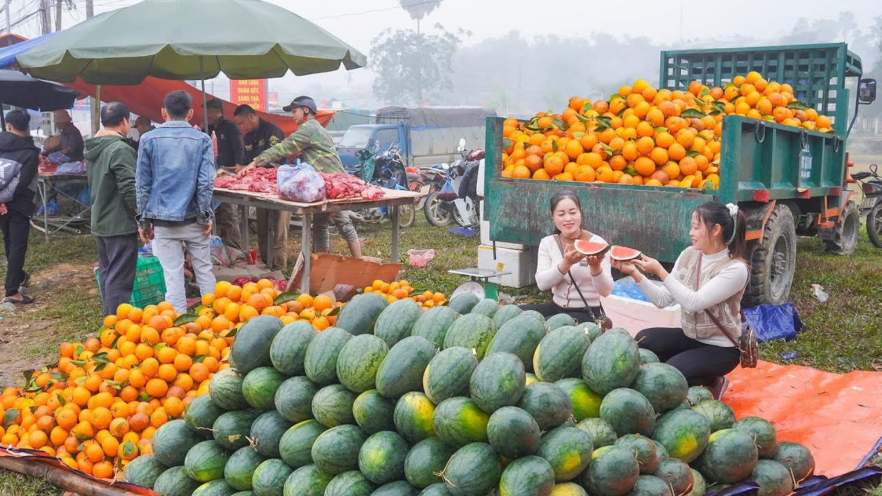 Use A Truck To Buy Watermelons And Oranges With Thanh Hien And Bring Them To The Tet Market To Sell
