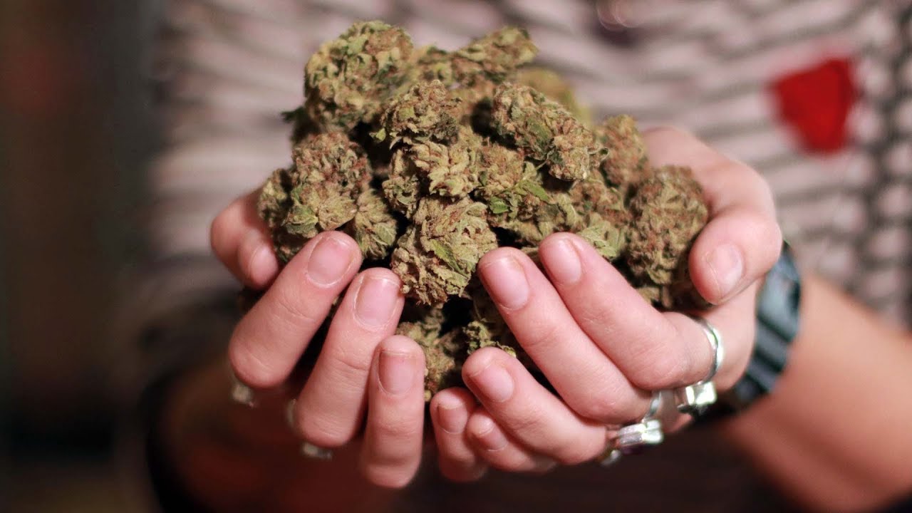 This is how much legal pot you can fly with in Canada