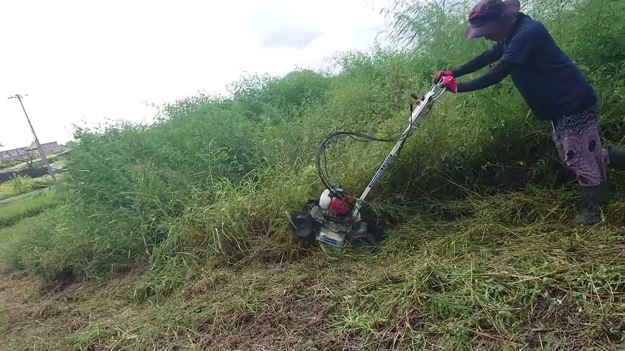 草刈り地獄😂スパイダーモアに頼りすぎる我々🤣傾けすぎて、モアもビックリ🌀