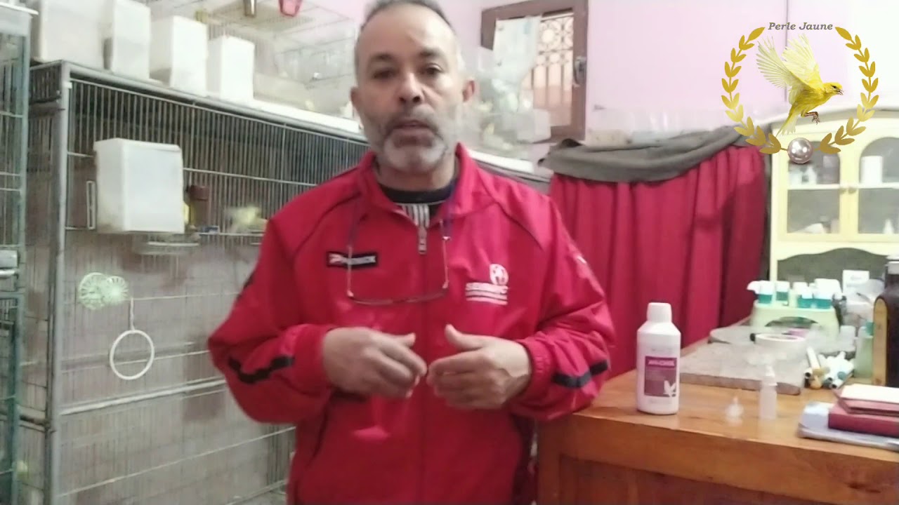 #مرض_الكبد_للطيور الحل السحري للوقاية و علاج مرض الكبد لدى الطيور