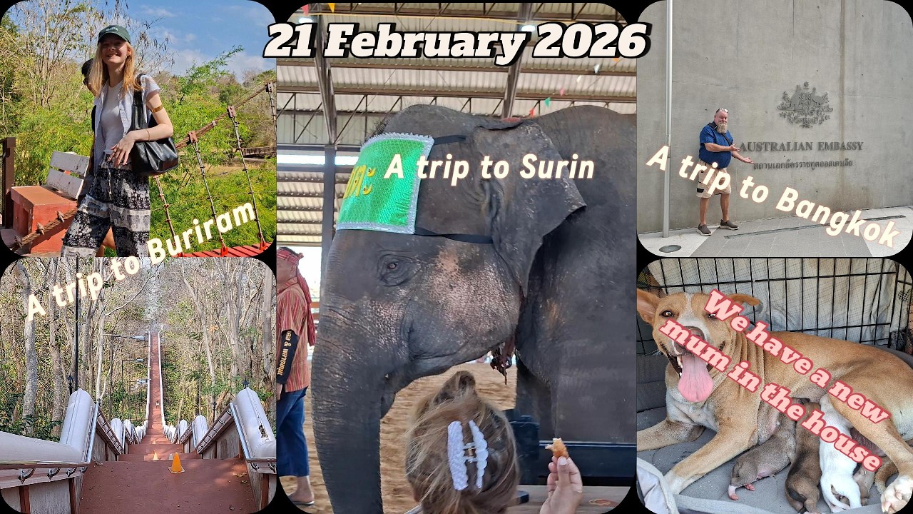 Buriram, Surin, and Bangkok visits