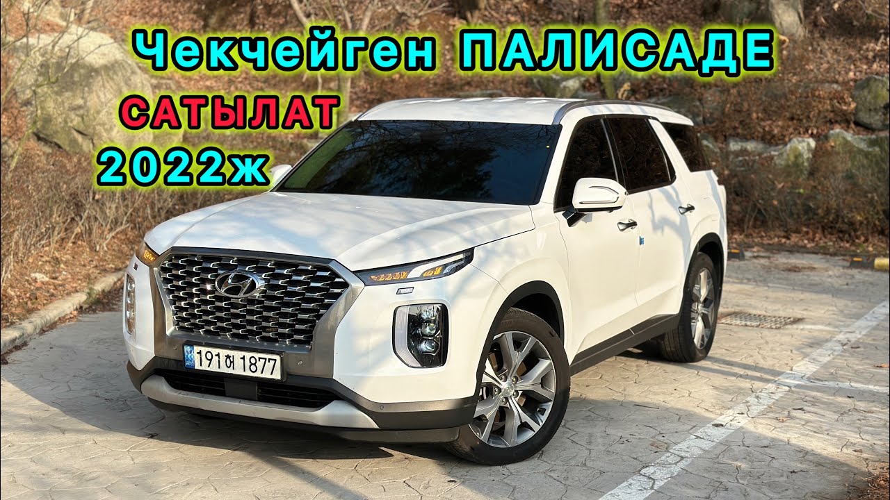Бүгүн Сонун Палисаде келген досс☝️#жанылыктар #обзор #тренд #топ #дубай #Иран #Израил 
