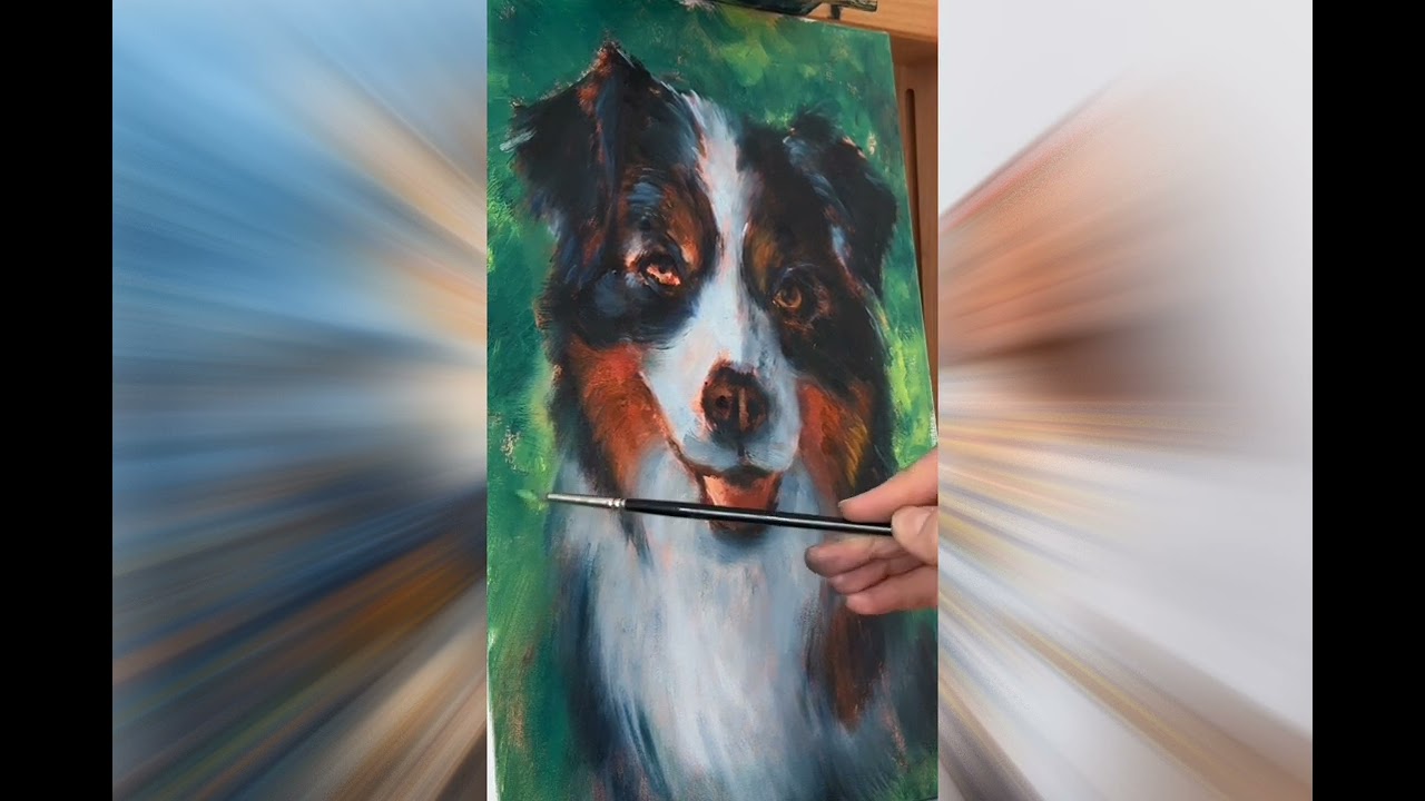 Sheltie Portrait Timelapse