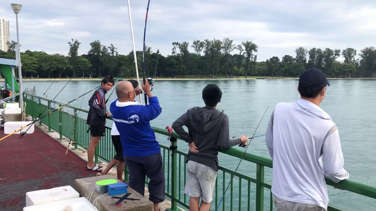Bedok Jetty, big Queenfish, good fight