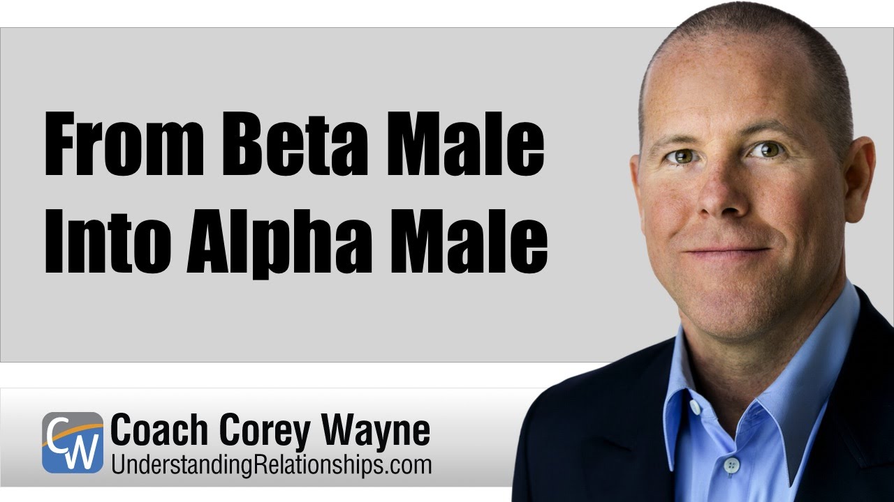 From Beta Male Into Alpha Male