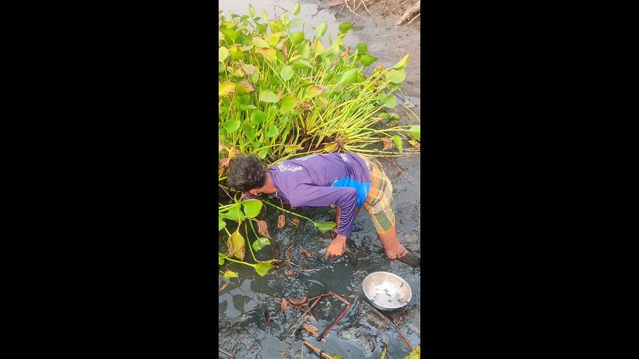 Asian village fishing 2024