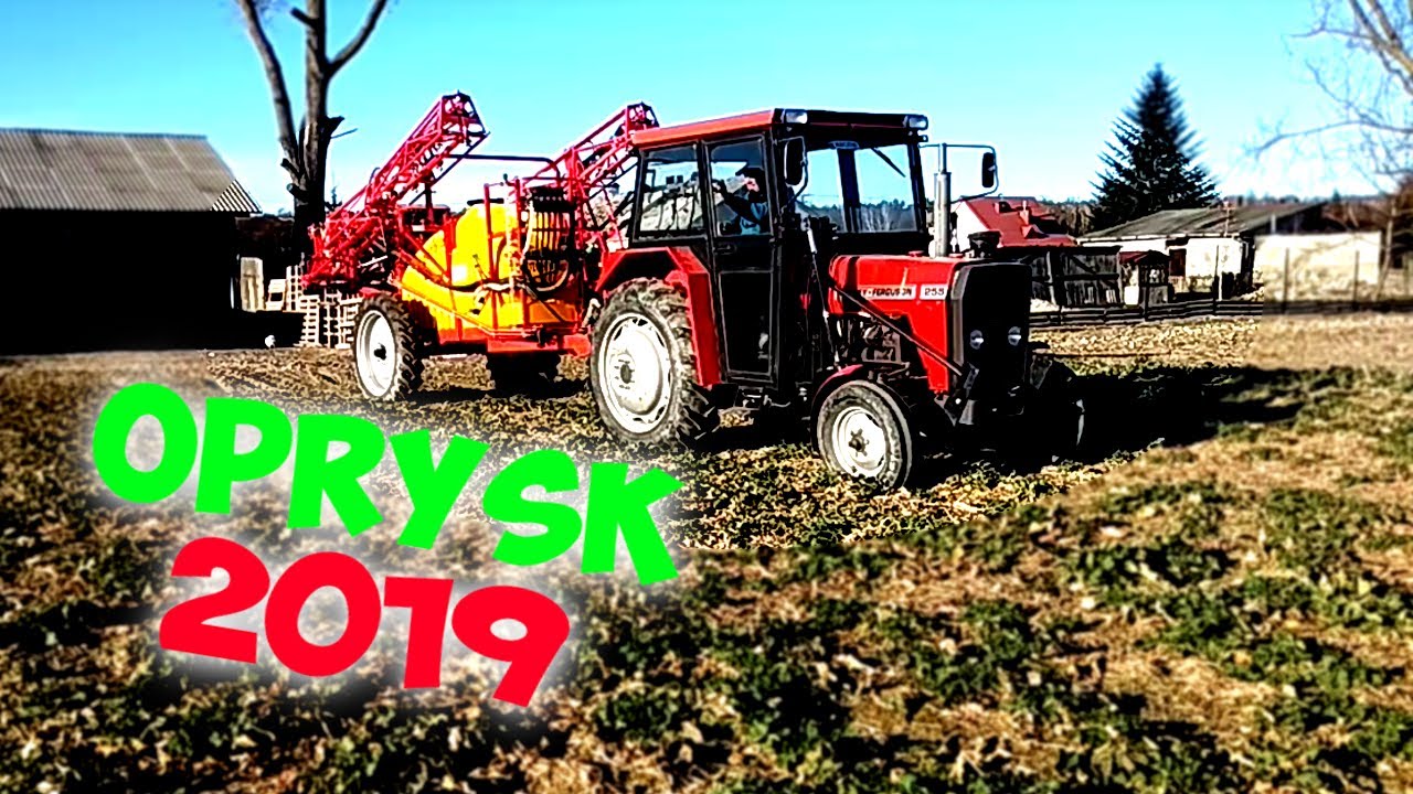 ㋡★RSM 2019★㋡ Wyjeżdżamy na pola!