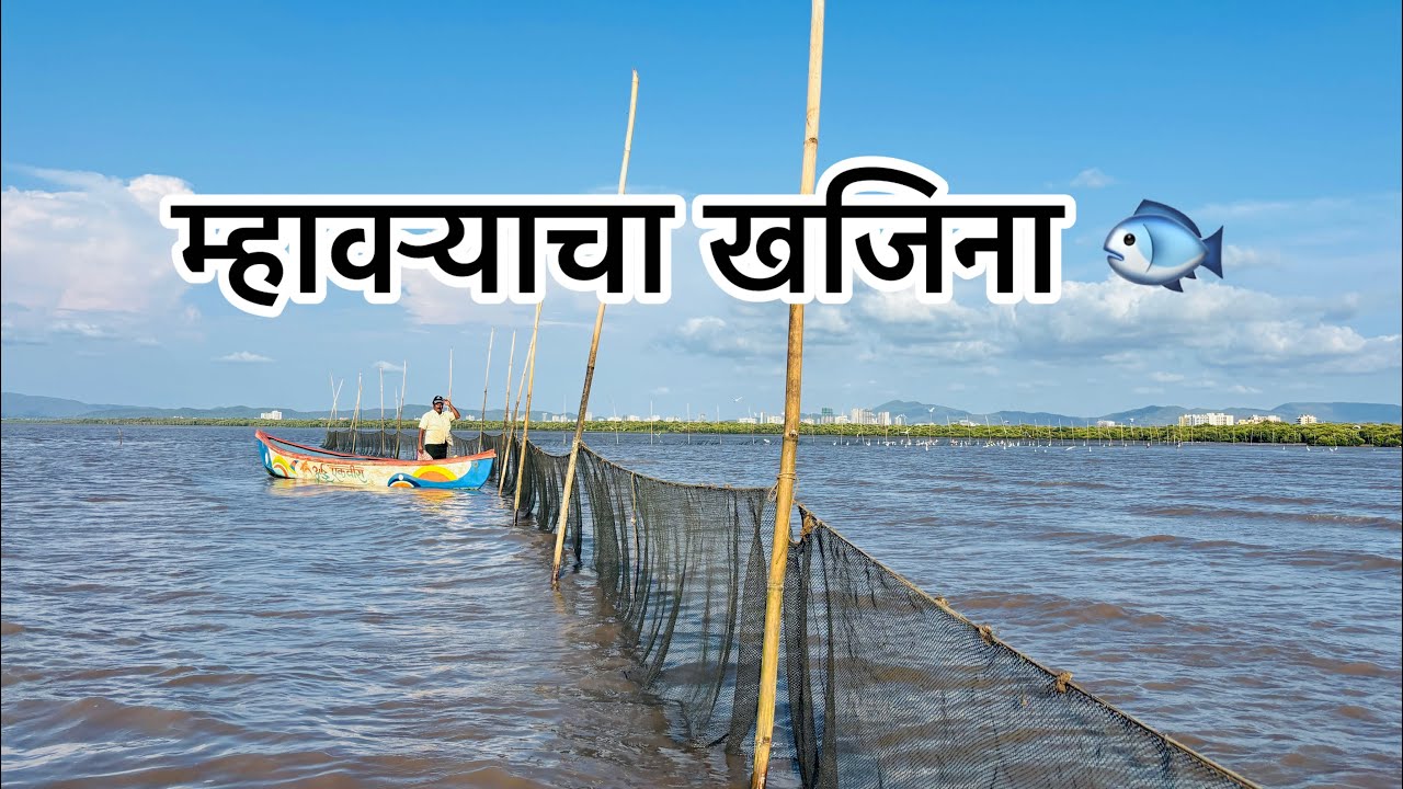 म्हावऱ्याचा खजिना 🐟३ होड्या भरून म्हावरं🤗धारावी आई पावली 🙏 महाराष्ट्रातील सर्वात मोठी वाणे मासेमारी