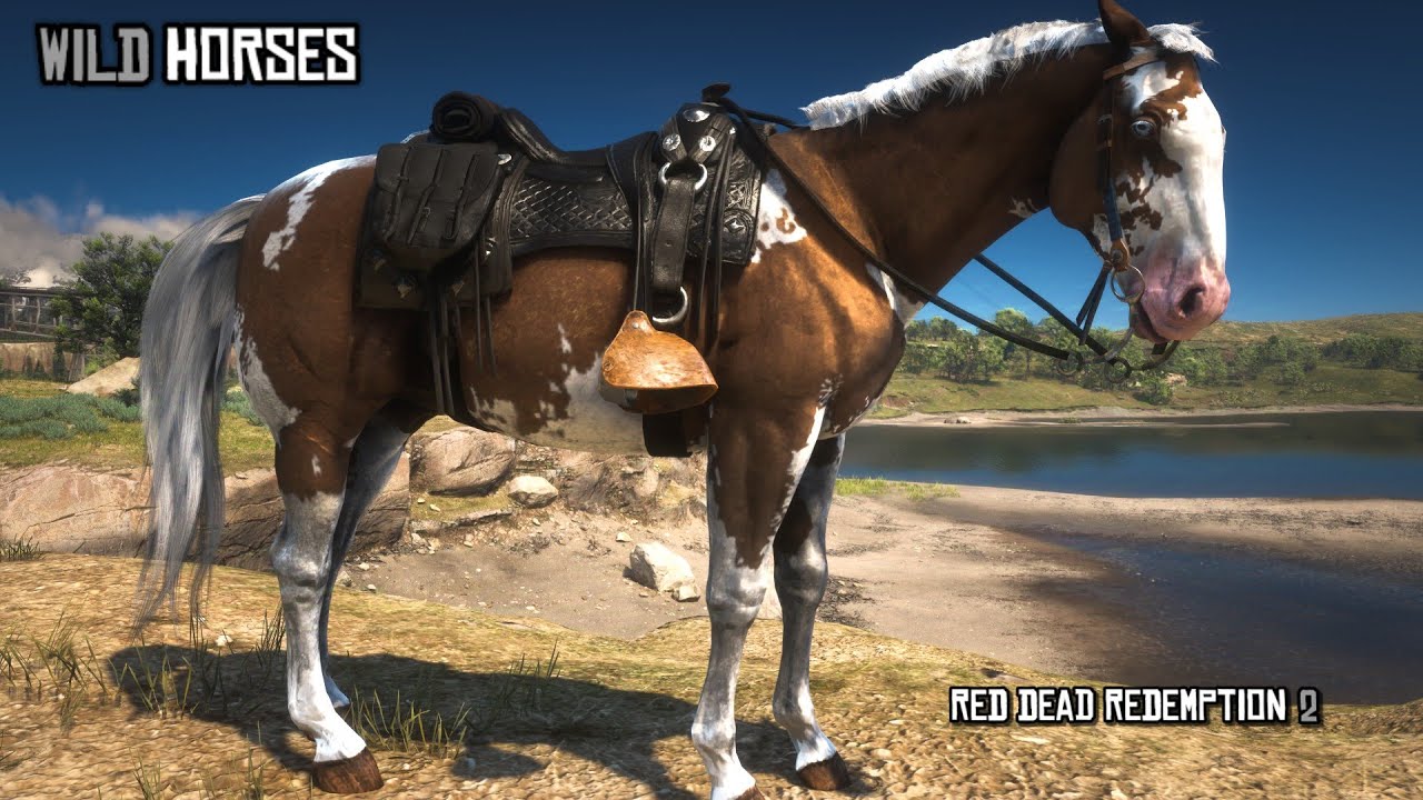 6 Wild East Horses that are Perfect for Arthur | Red Dead Redemption 2