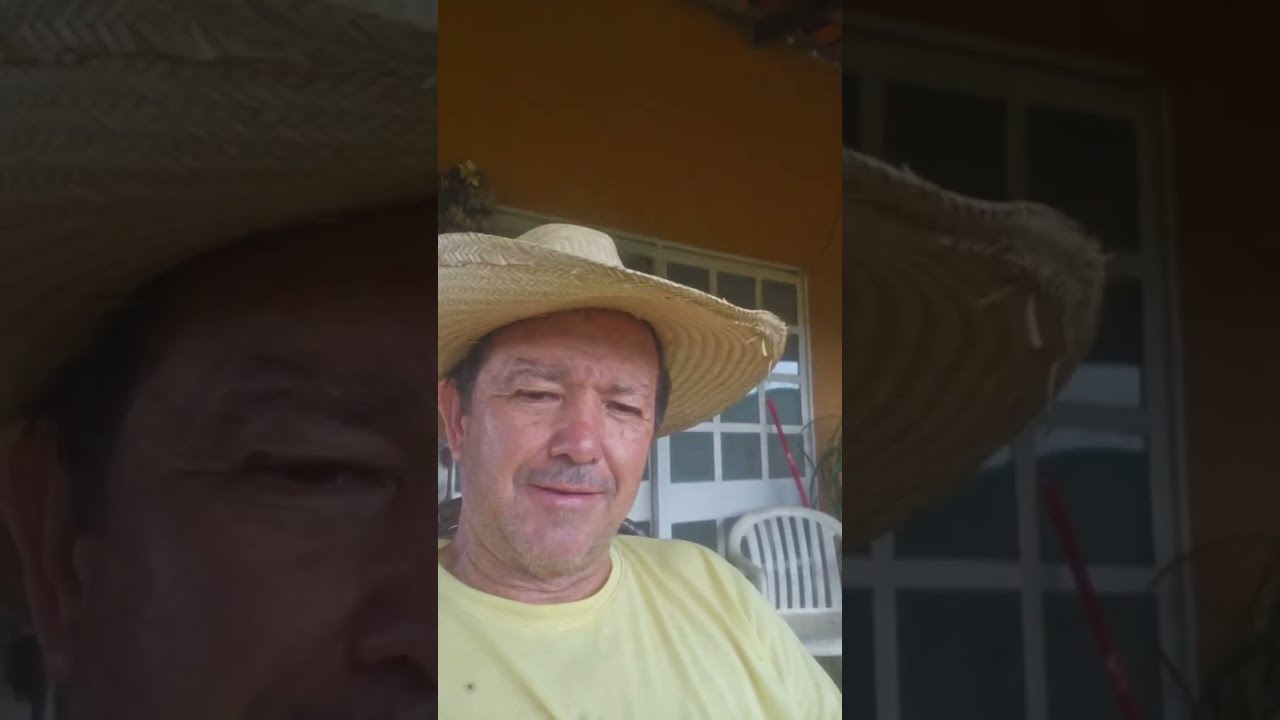 fui fazenda Walter Marques  está ao vivo!