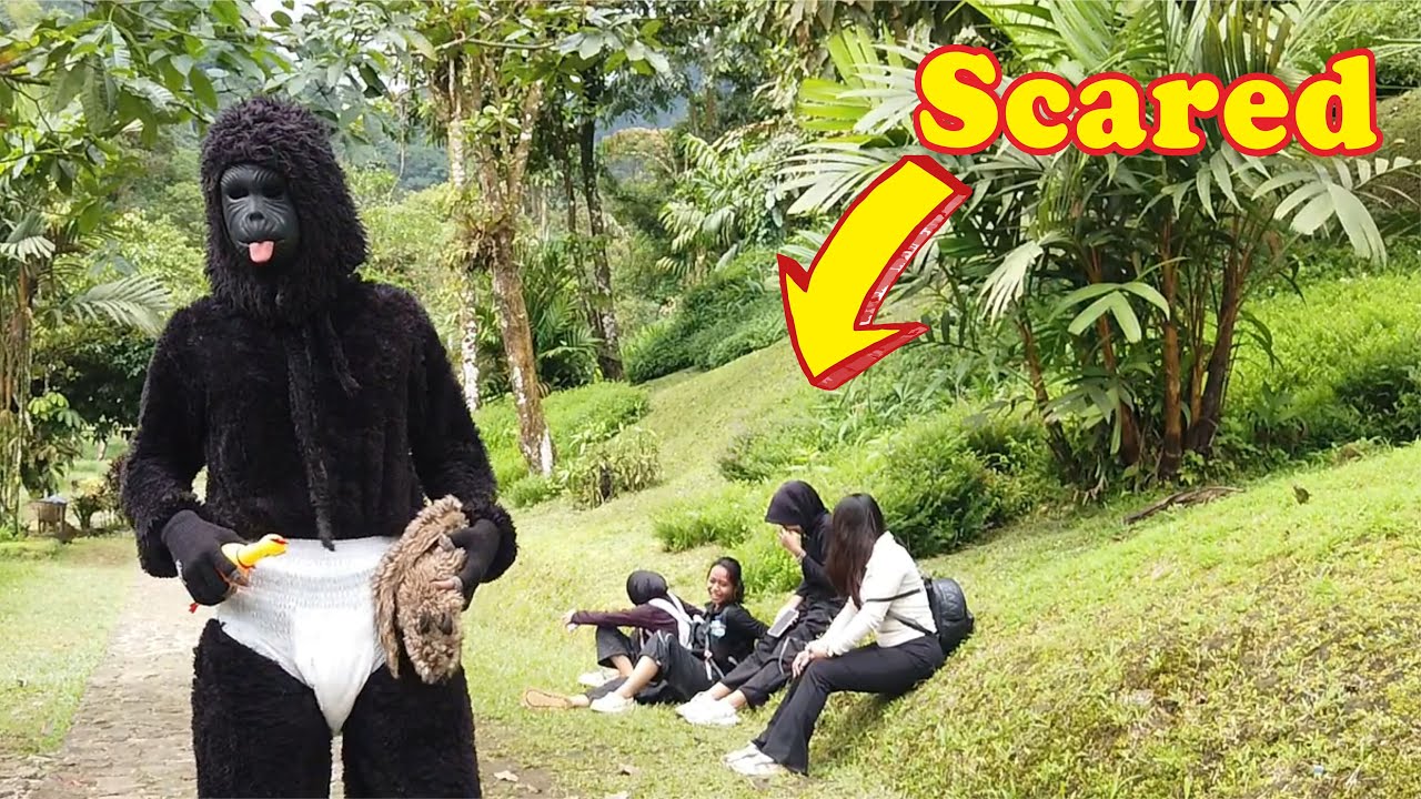GARA-GARA MONYET INI, SEMUA ORANG JADI LEMES..!!