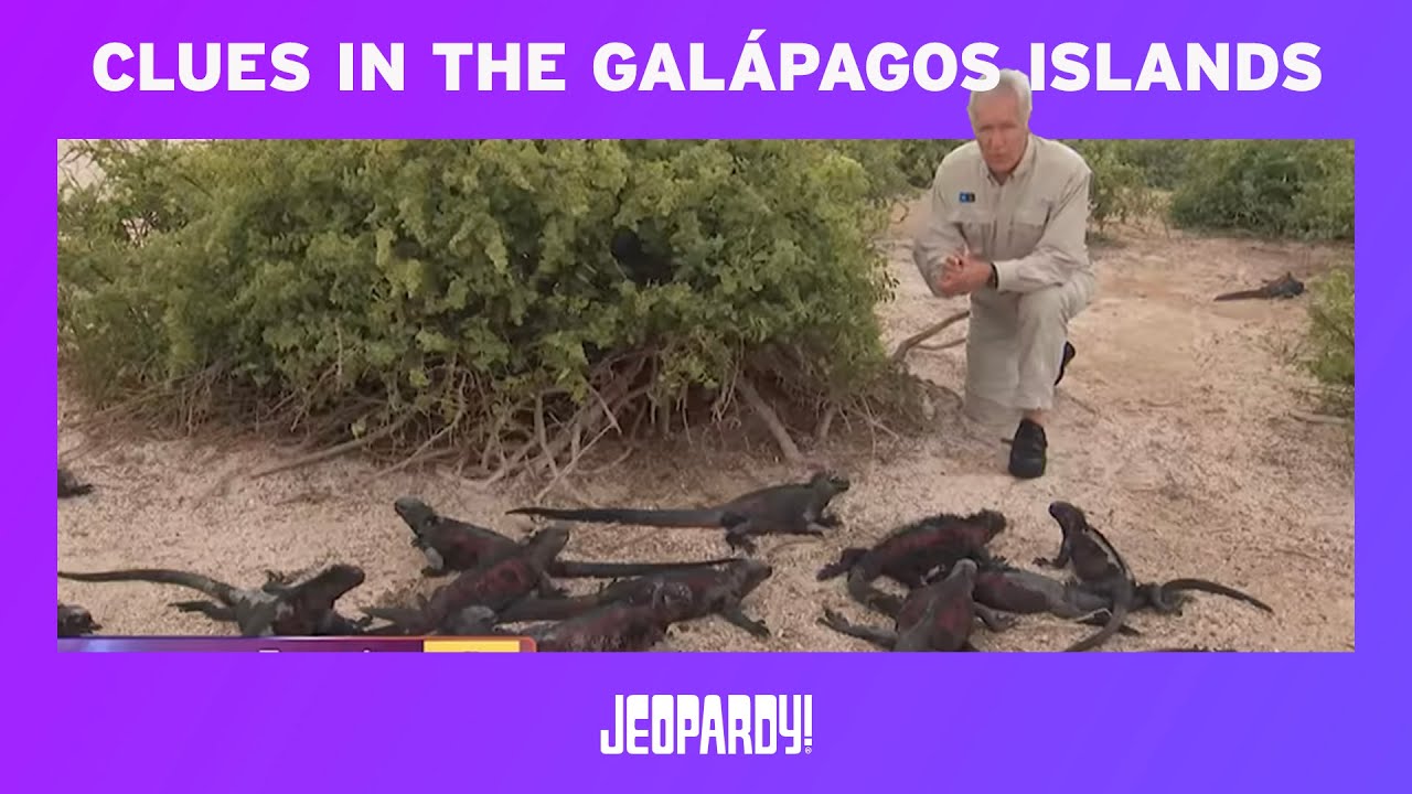 Jeopardy! Passport: Clues In The Galapagos Islands | JEOPARDY!