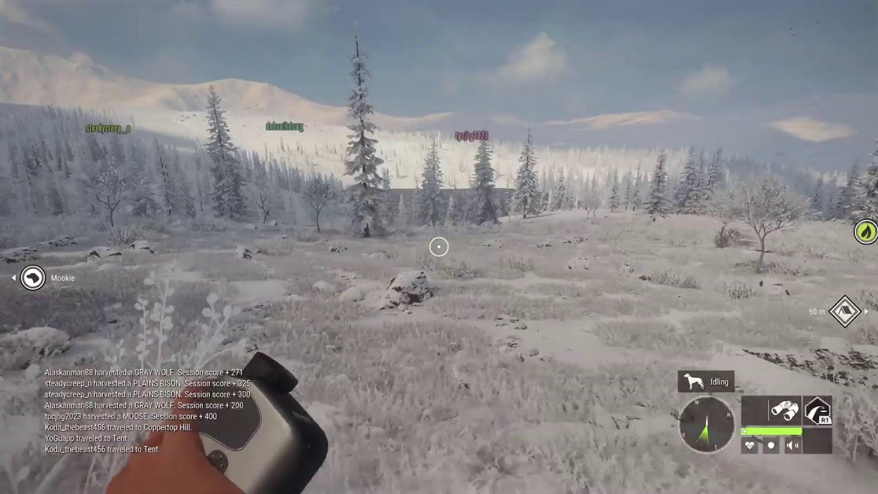 Thehunter: Call of the Wild livestream