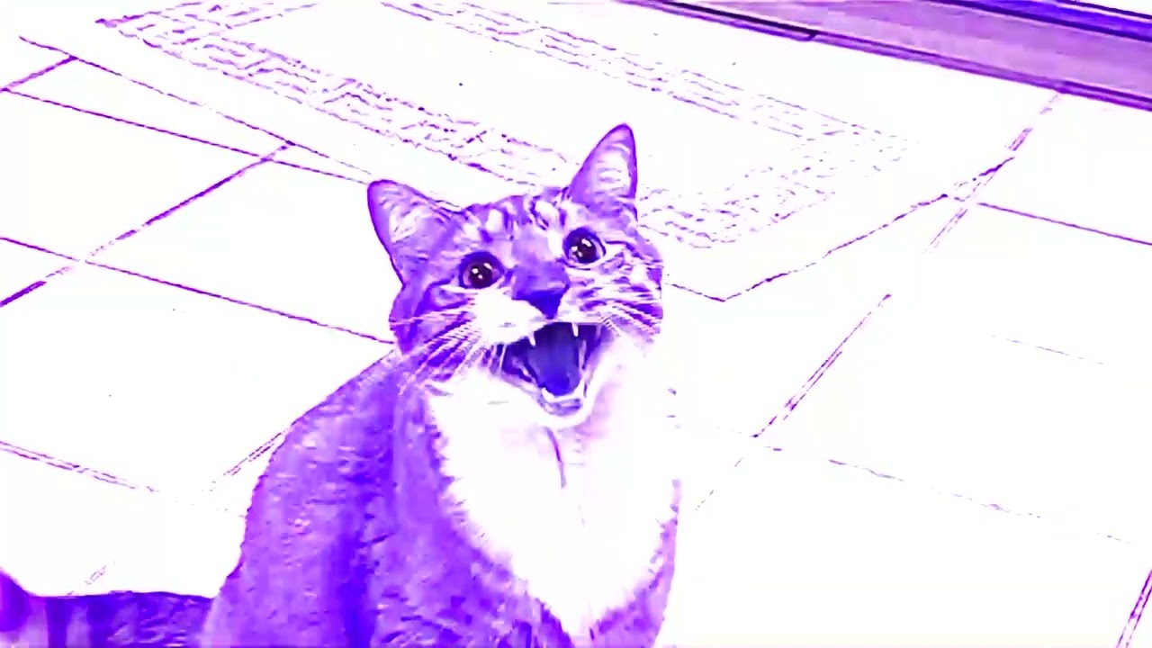 Shortest Video on YouTube Effects | Vestron Video (2021) Effects