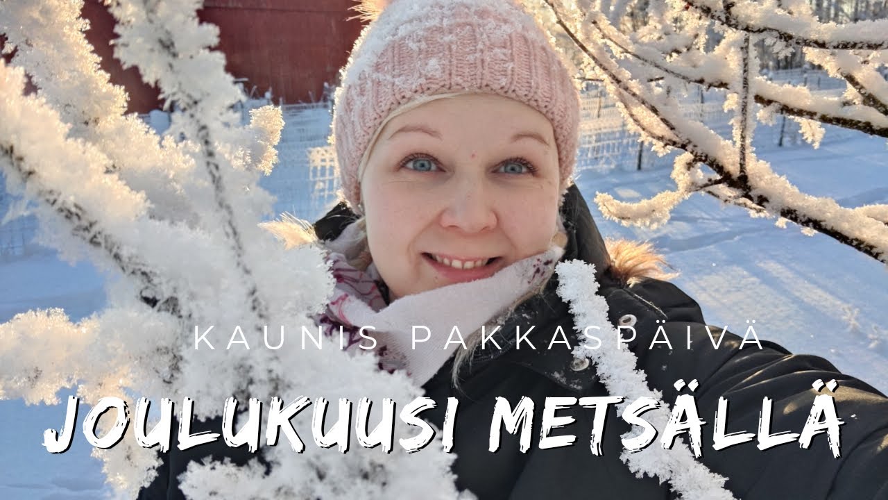 JOULUKUUSTA ETSIMÄSSÄ // Arkipäivä // Jenni Laura