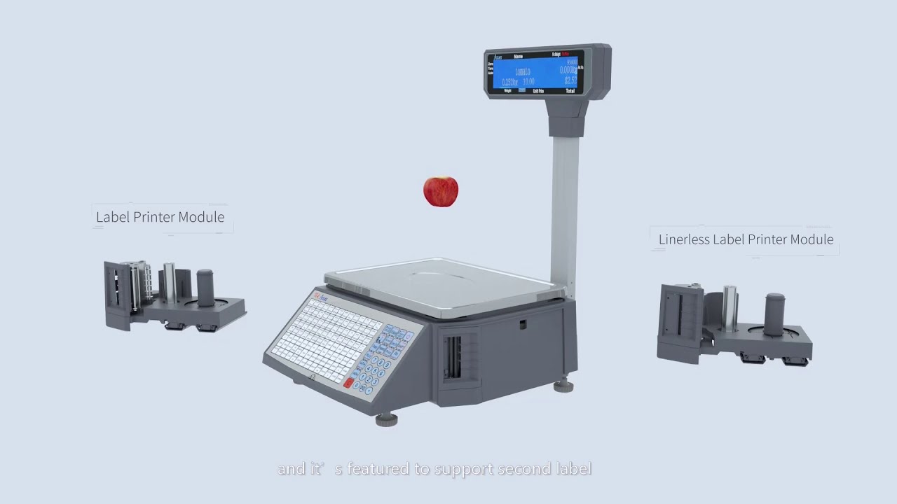 LS2X Barcode label Scale
