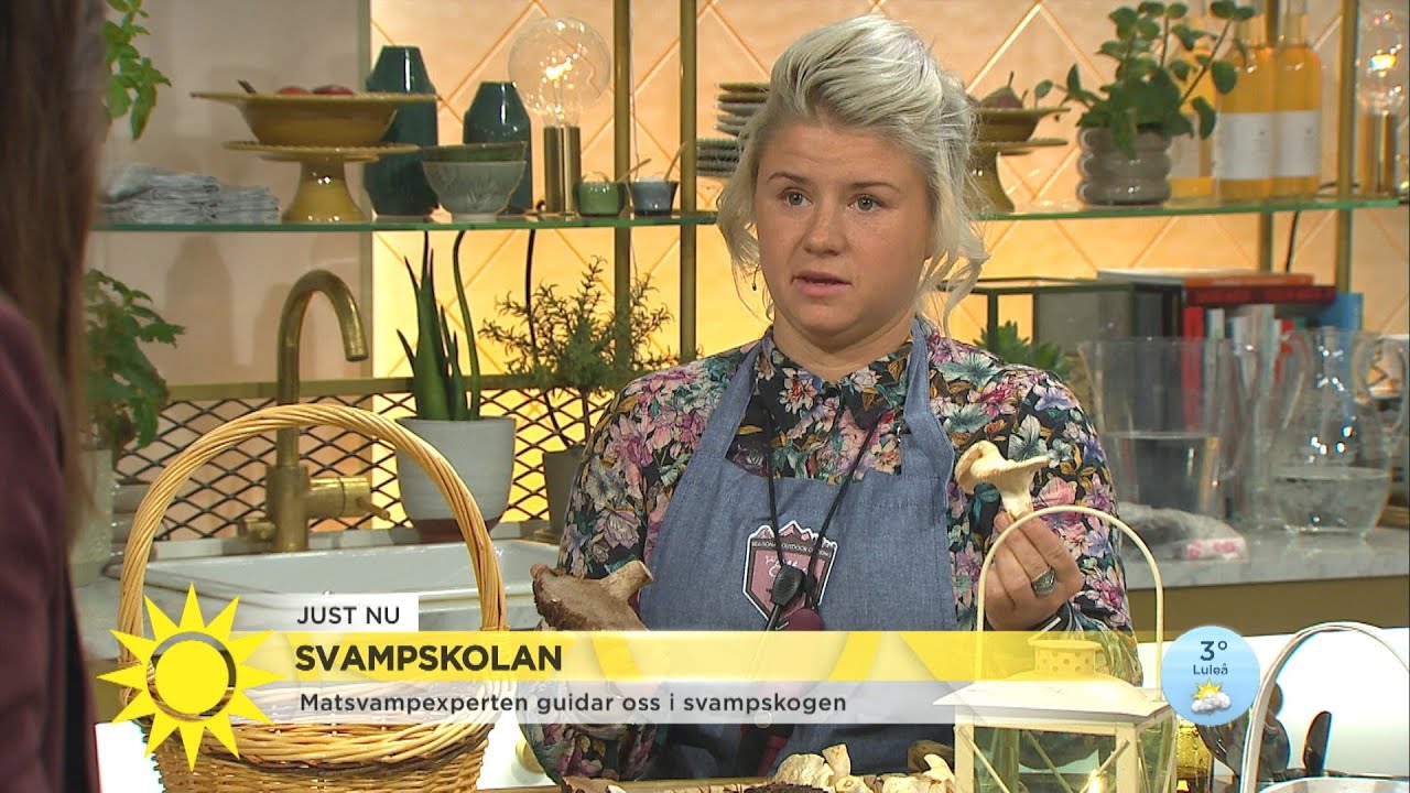 Så hittar du bästa matsvamparna – 
